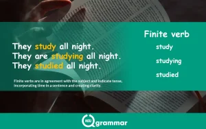 Definition of finite verb,keugrammar