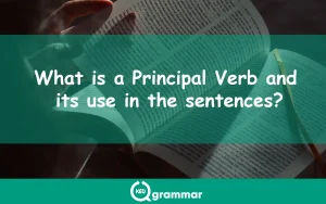 what is principal verb