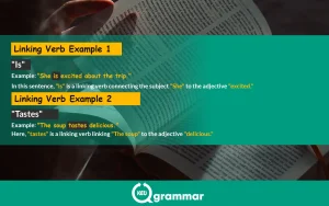 linking verb examples sentences, keugrammar