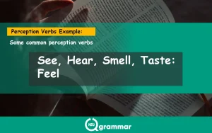 what is perception verb, keugrammar